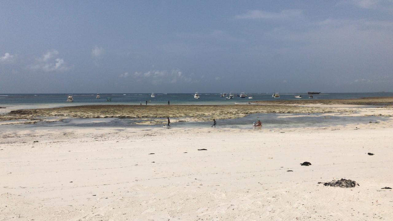 比安卡和彼得罗之家别墅 瓦塔穆 外观 照片